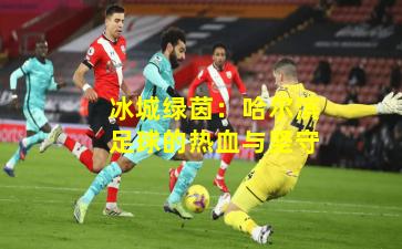 冰城绿茵：哈尔滨足球的热血与坚守