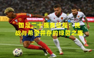 国足二十强赛征程：挑战与希望并存的绿茵之路
